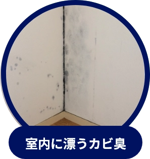 室内に漂うカビ臭