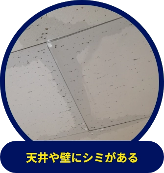 天井や壁にシミがある