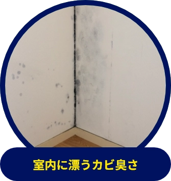 雨の日にだけ水音がする