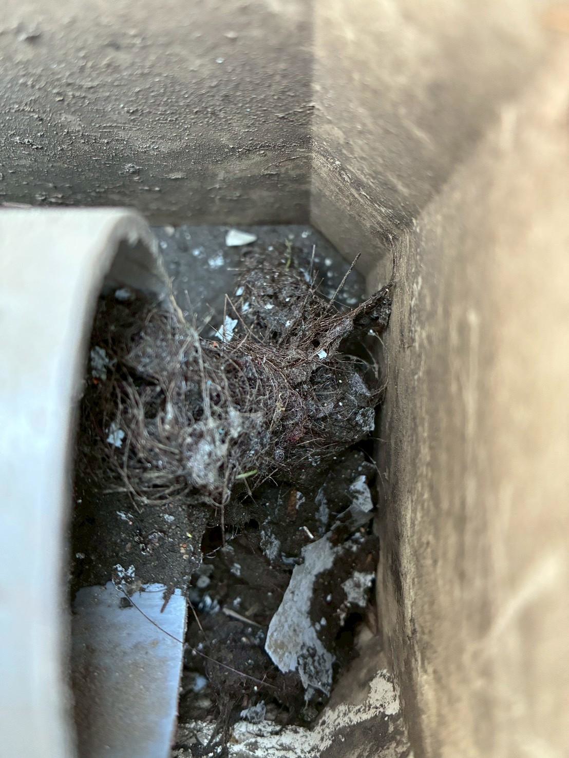 横浜市保土ヶ谷区にてベランダ排水口詰まりの洗浄・清掃の施工前写真