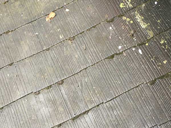 横浜市鶴見区にて雨漏り修理〈劣化したスレートを葺き替え〉の施工前写真